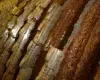 DSC06930