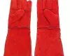 gloves1