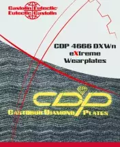 CASTOLIN_CDP-4666-DXWn-extreme_FLYER_EN .pdf