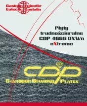 CASTOLIN_CDP-4666-DXWn-extreme_FLYER_PL.pdf