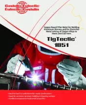 TigTectic-1851.pdf