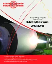 MetaCeram-25020.pdf