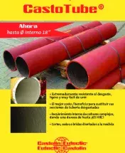 CastoTube_Flyer_Mexico.pdf