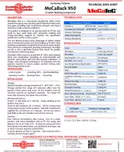 MeCaTeC-MeCaBack-950.pdf
