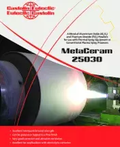 MetaCeram-25030.pdf