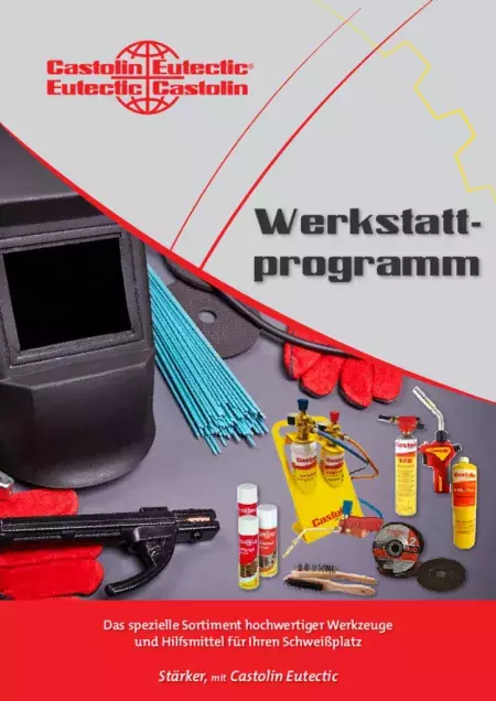 Werkstattprogramm_2020.pdf