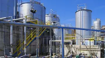 paper and pulp